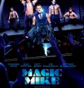 Magic Mike (2012)