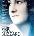 White Bird In A Blizzard 2014 HDRIP