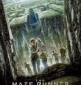 The Maze Runner 2014 DVDRIP