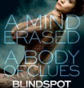 Blindspot (2015-)