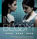 In Bloom / Grzeli Nateli Dgeebi (2013)