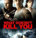 What Doesn’t Kill You (2008)