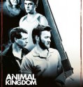 Animal Kingdom (2010)