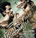 Fighting Fish – Brawl (2012)