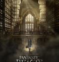 Fantastic Beasts and Where To Find Them (2016)