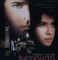 Incognito (1997)