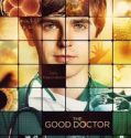 The Good Doctor (2017-)