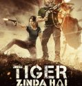 Tiger Is Alive (2017)