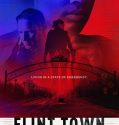Flint Town (2018-)