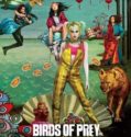 BIRDS OF PREY: And the Fantabulous Emancipation of One Harley Quinn (2020)