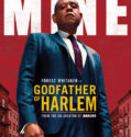 Godfather of Harlem  (2019-)