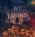 WHAT WE FOUND (2020)